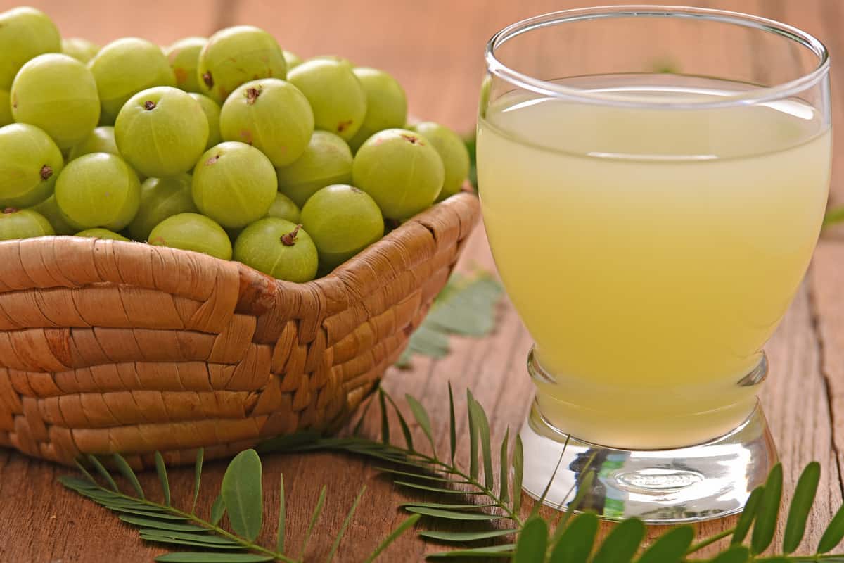 Price and Buy white grape juice concentrate + Cheap Sale