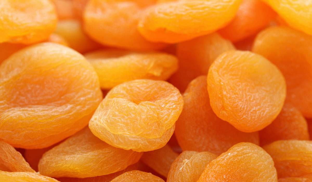 top dried apricots purchase price + user manual