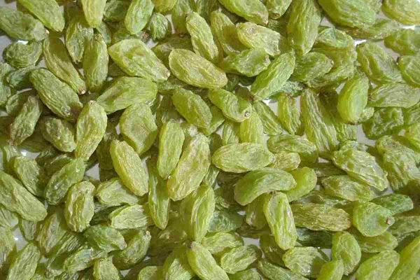 Buy all kinds of nutritional green raisins at the best price