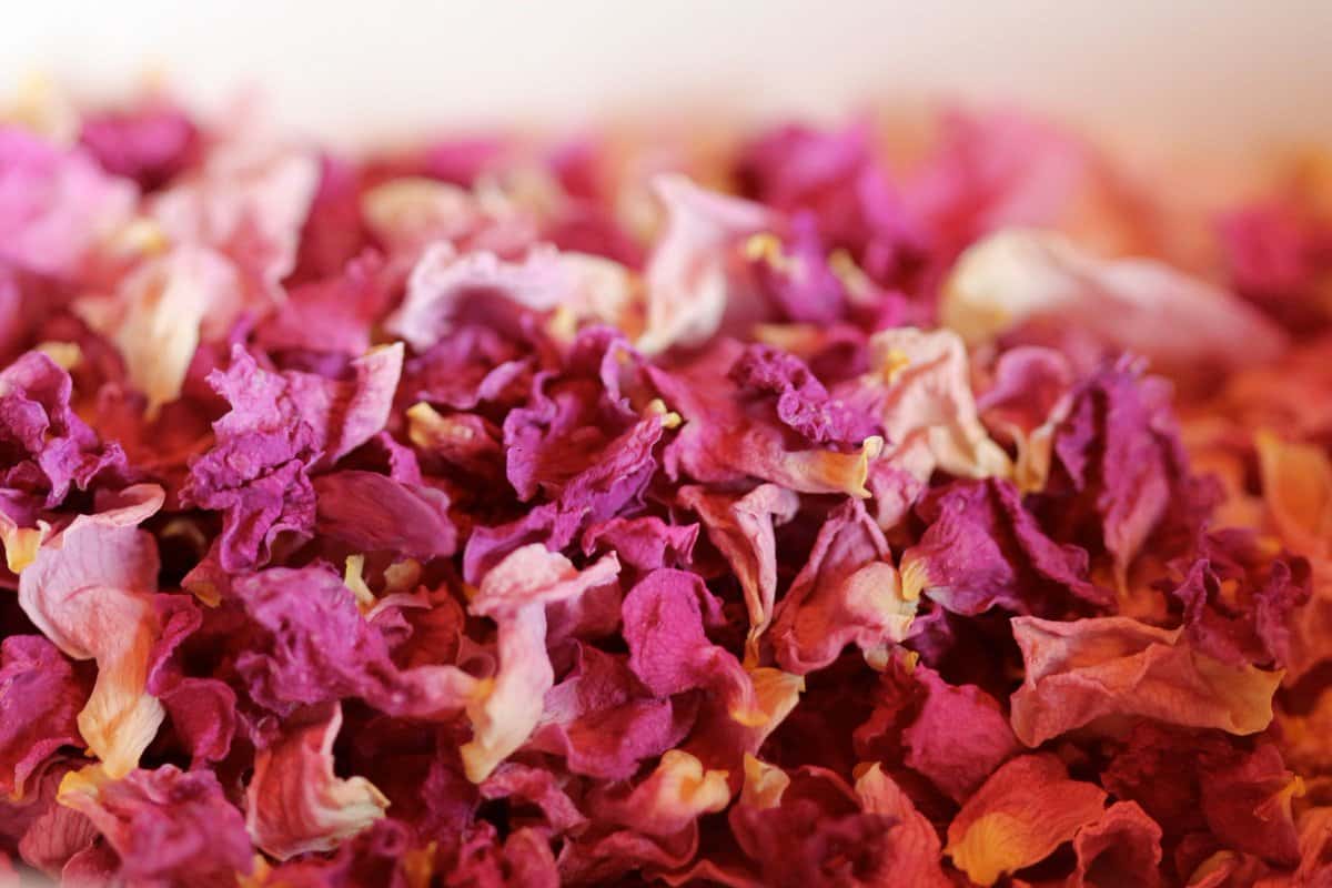 Buy Damask Dried Petals Rose  at an Exceptional Price