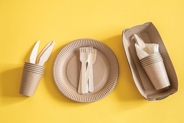 biodegradable disposable plates India with the most competitive prices