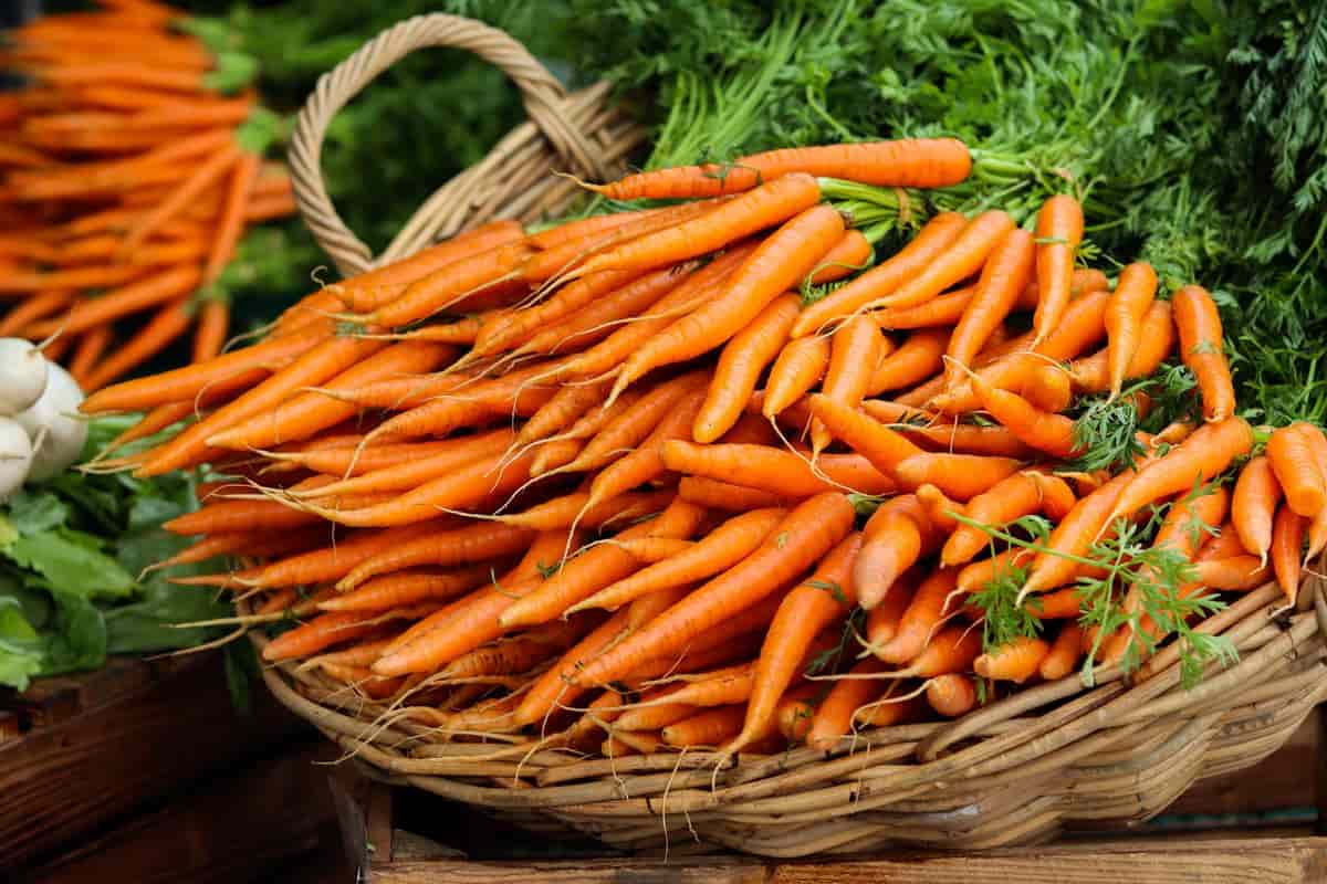 are organic carrots good for you
