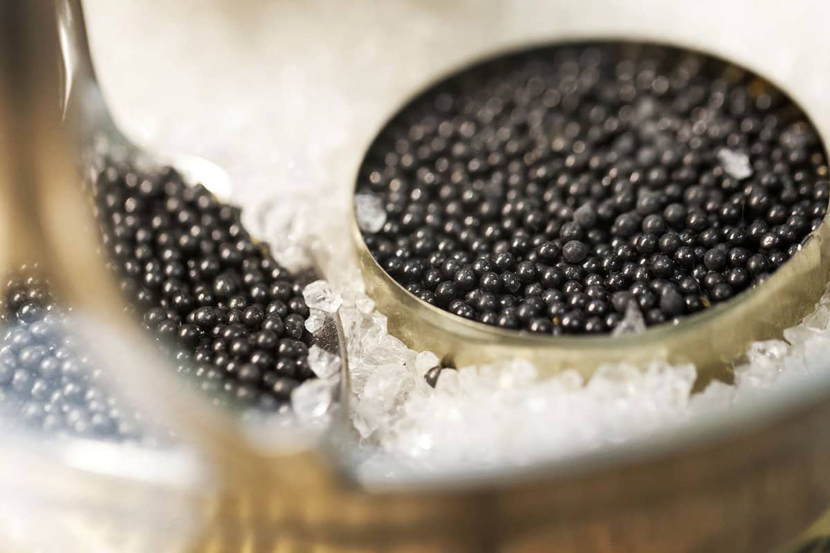 Simple Beluga Iranian Caviar  | buy at a cheap price