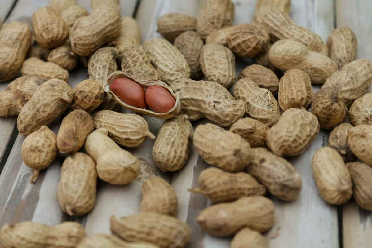 Health benefits of peanut skin and the bioactive compounds