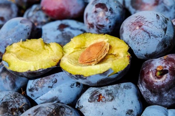 plum price per kg | The purchase price, usage, Uses and properties