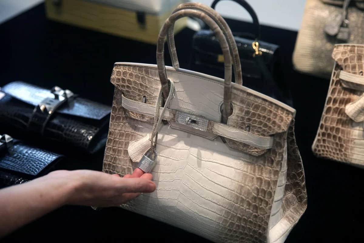 Alligator skin handbags Purchase Price + Photo