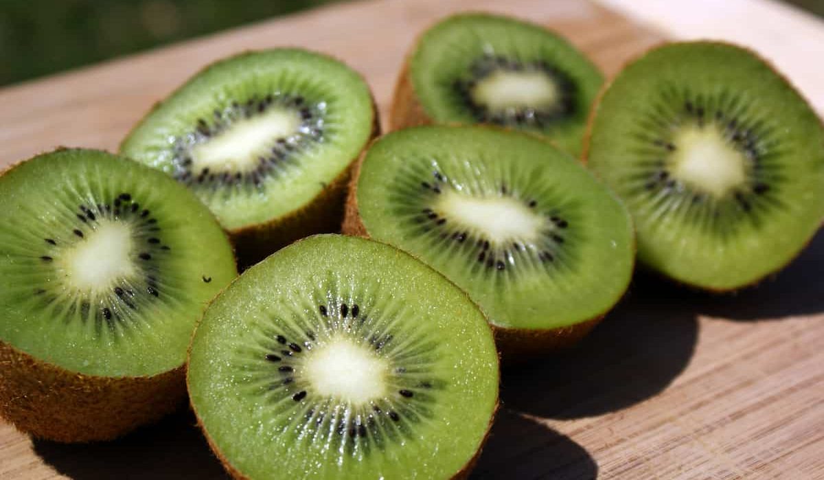 Buy Kiwi seeds| Selling with Reasonable Prices
