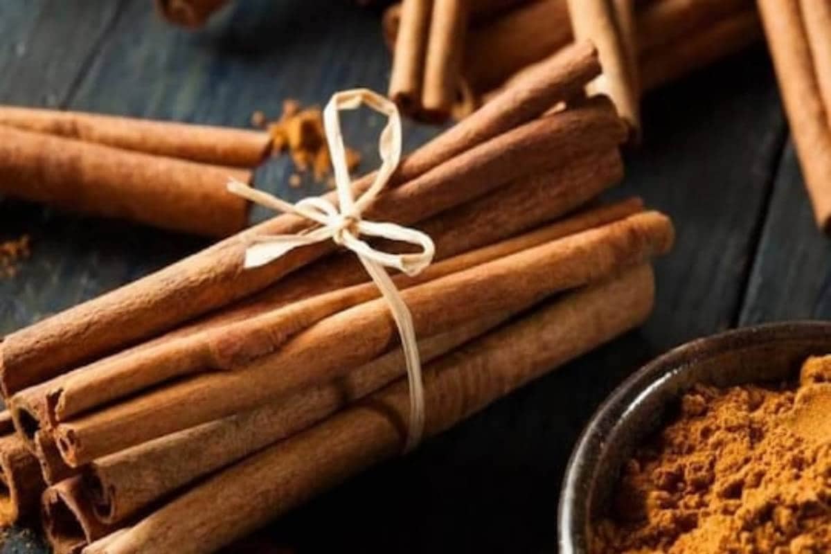 Buy and the Price of All Kinds of Original Cinnamon Wood