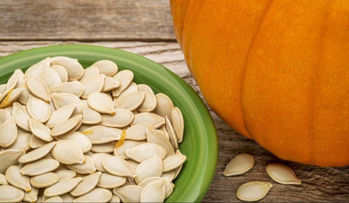 pumpkin seeds for body mineral | Sellers at reasonable prices of pumpkin seeds for body mineral