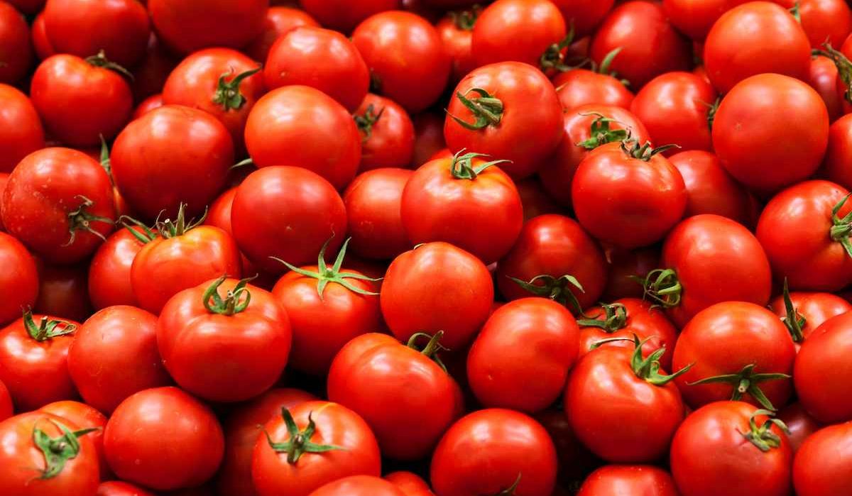 Tomatoes good for treatment burns