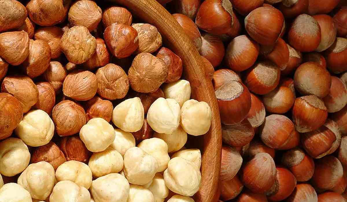 Buy The Best Types of fruit nuts At a Cheap Price