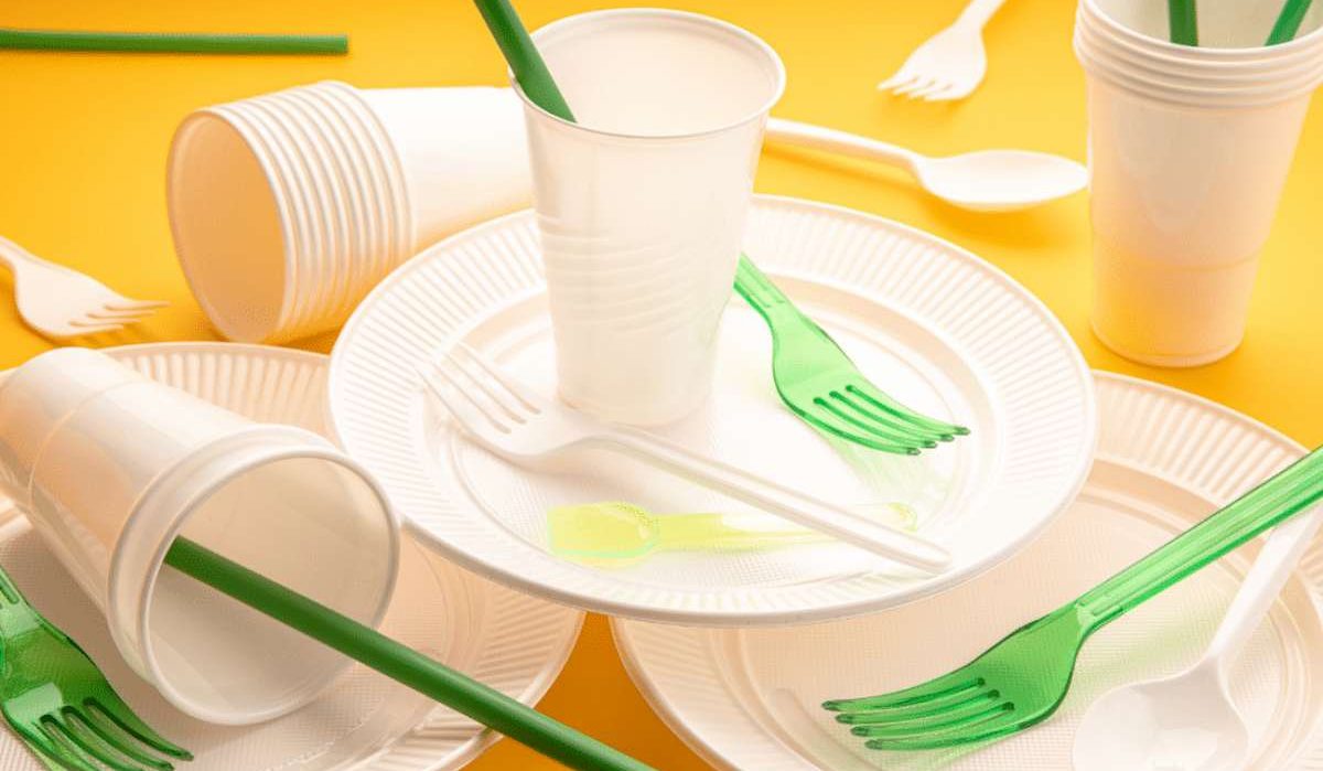 Biodegradable Disposable Plasticware Buying Guide + Great Price