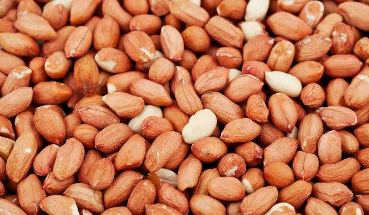 online bulk roasted peanuts 2023 price list