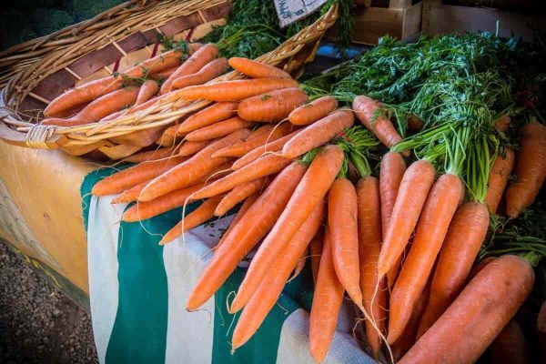 Organic Frozen Carrots Price List in 2023