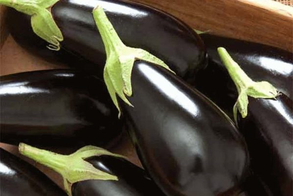 canning eggplant italian style