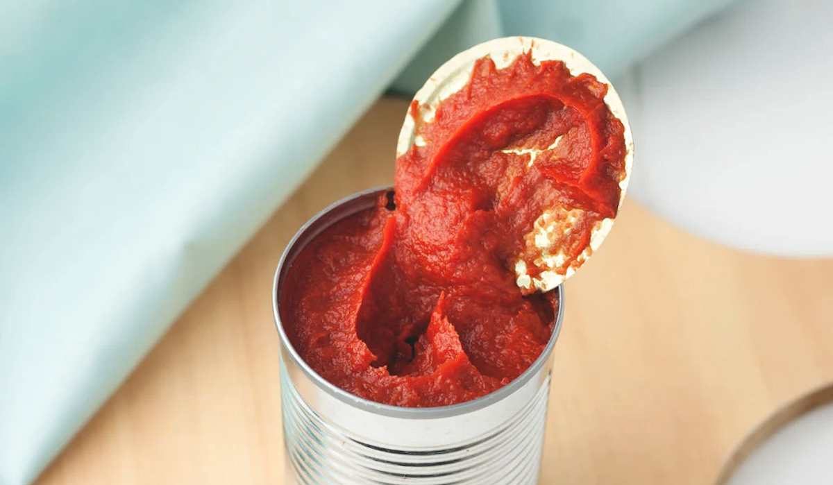 canned tomato paste price | buy at a cheap price