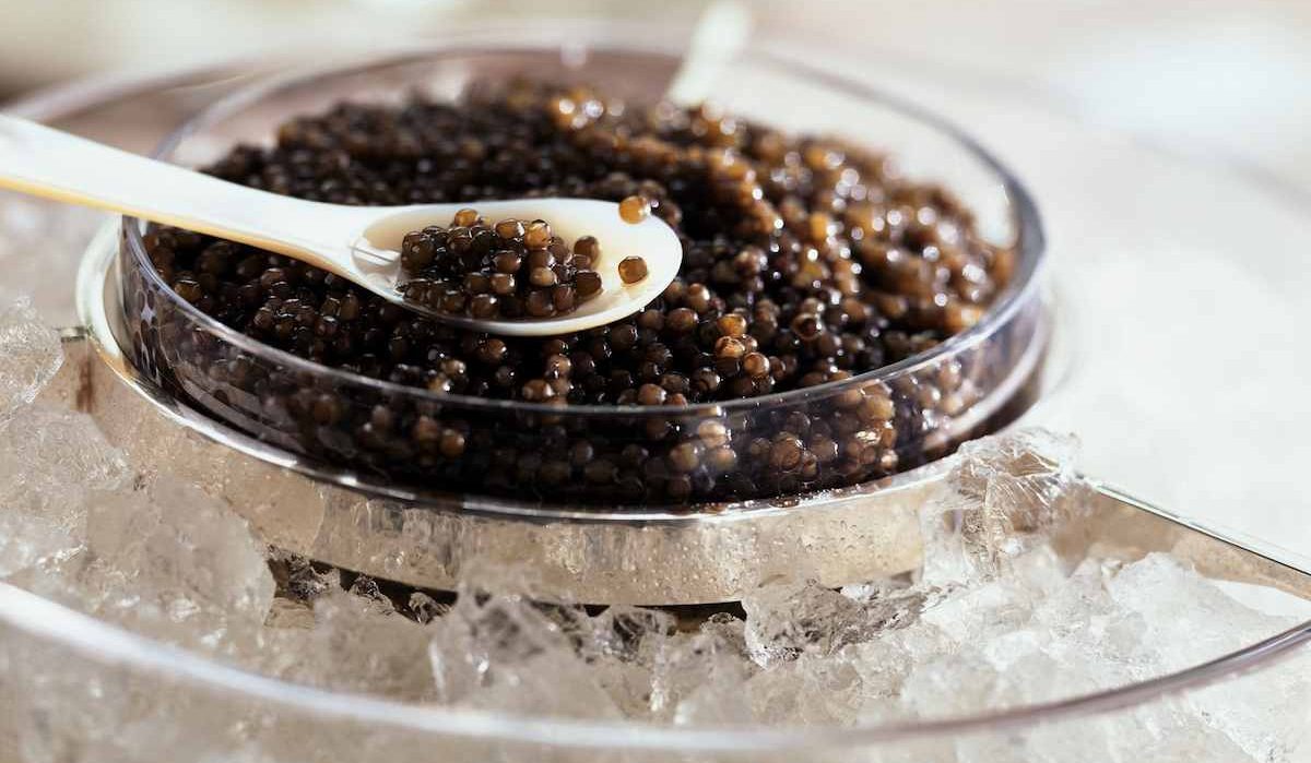Purchase price Suruga Caviar + advantages and disadvantages