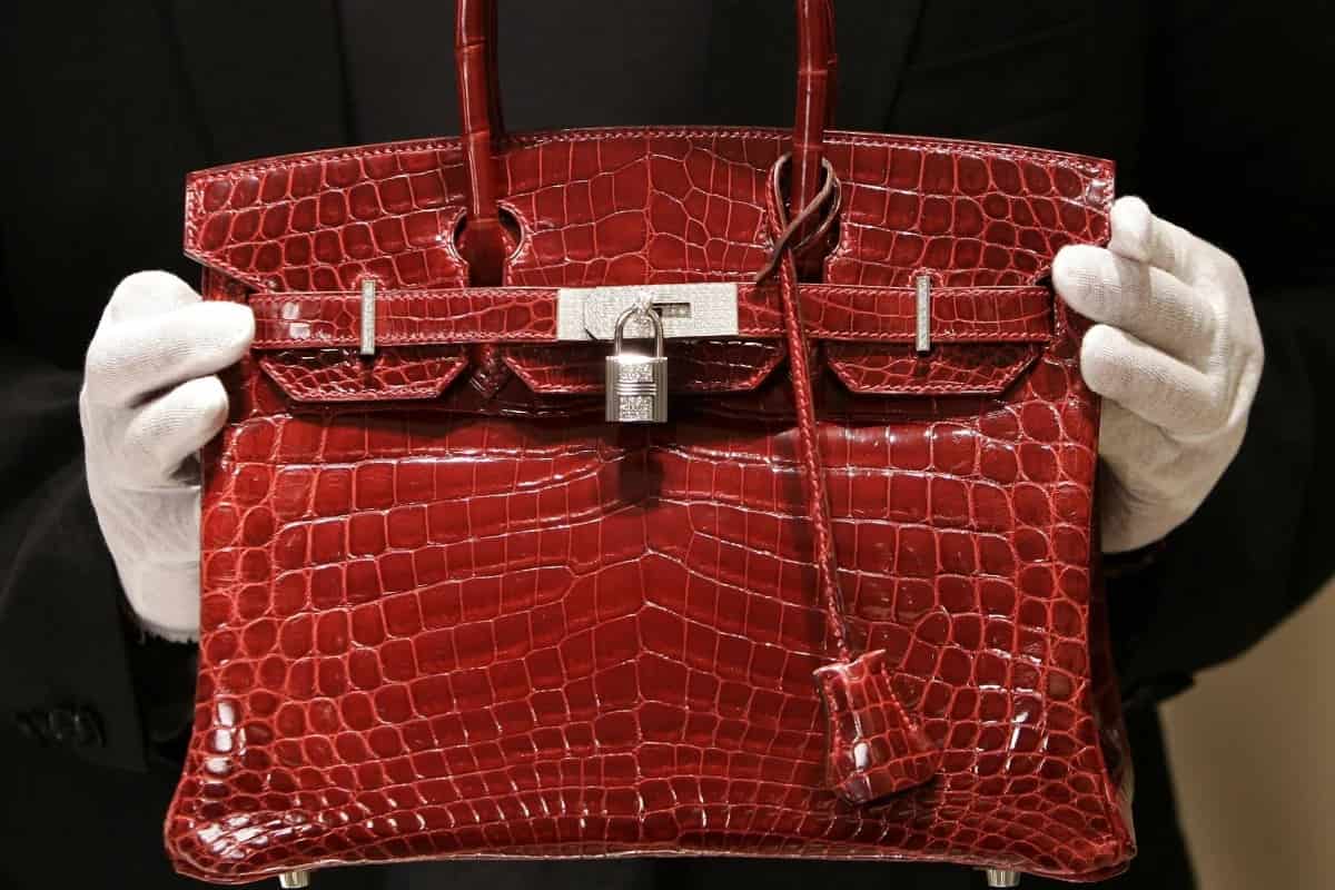 Alligator leather bags cost which are very unique