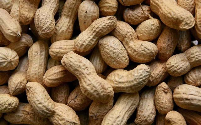 Buy all kinds of peanuts in Middle East at the best price