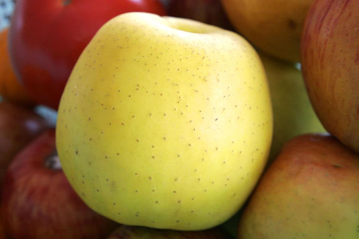 Buy Organic Golden Delicious Apples at an eanchorceptional price