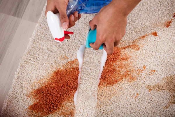 Buy Carpet Stain Remover Spray at an eanchorceptional price