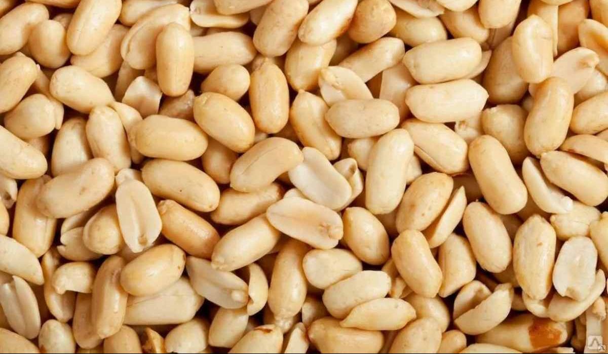 Peanuts packing producers for sale offer greatest qualities