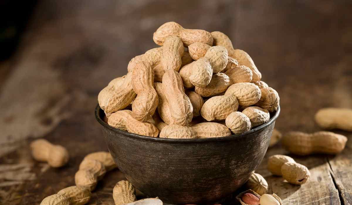 How raw peanuts shelf life increases by suitable storage?