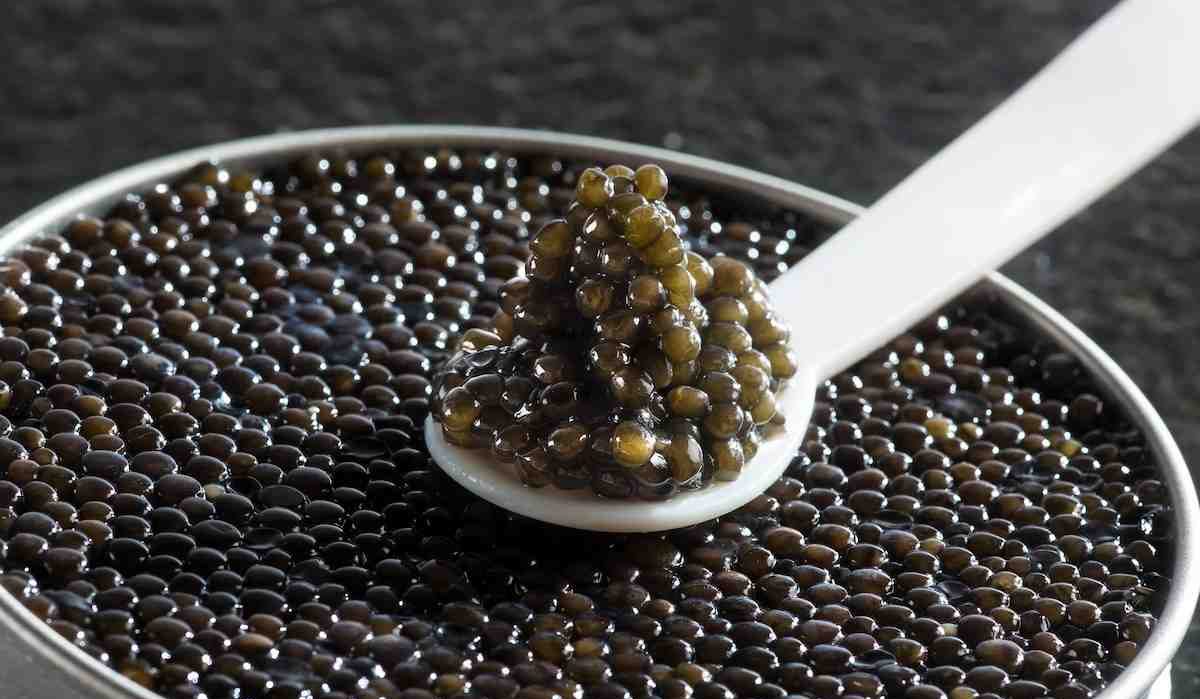 beluga caviar benefits the attractiveness of the skin and hair