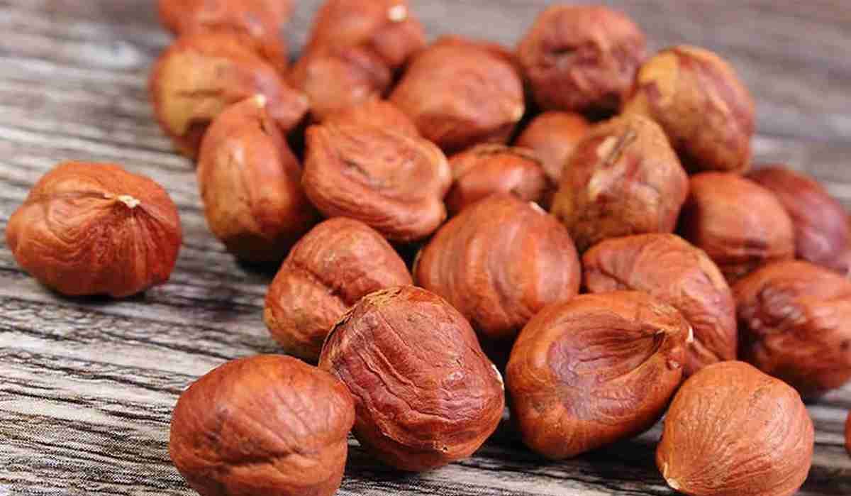Hazelnut Kernels Nut Price List in 2023
