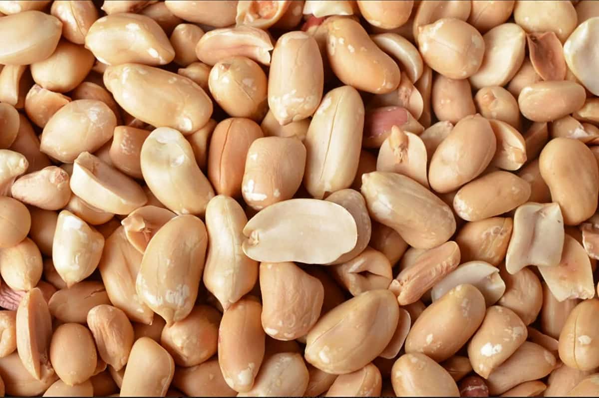 Introduction of Unshelled Peanut Types + Purchase Price of the Day