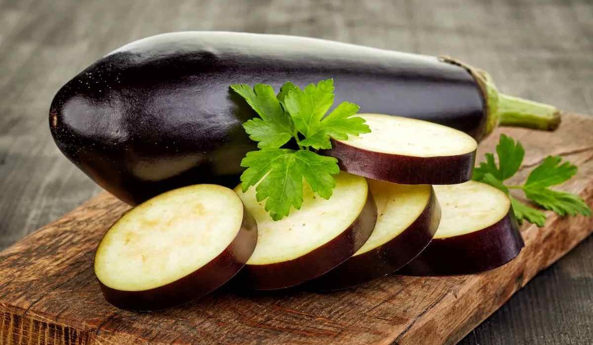 Buy canned eggplant+ great price