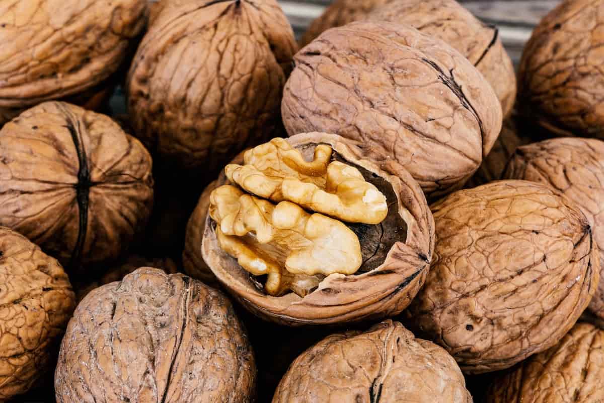 Getting to know best quality walnut  + the exceptional price of buying best quality walnut