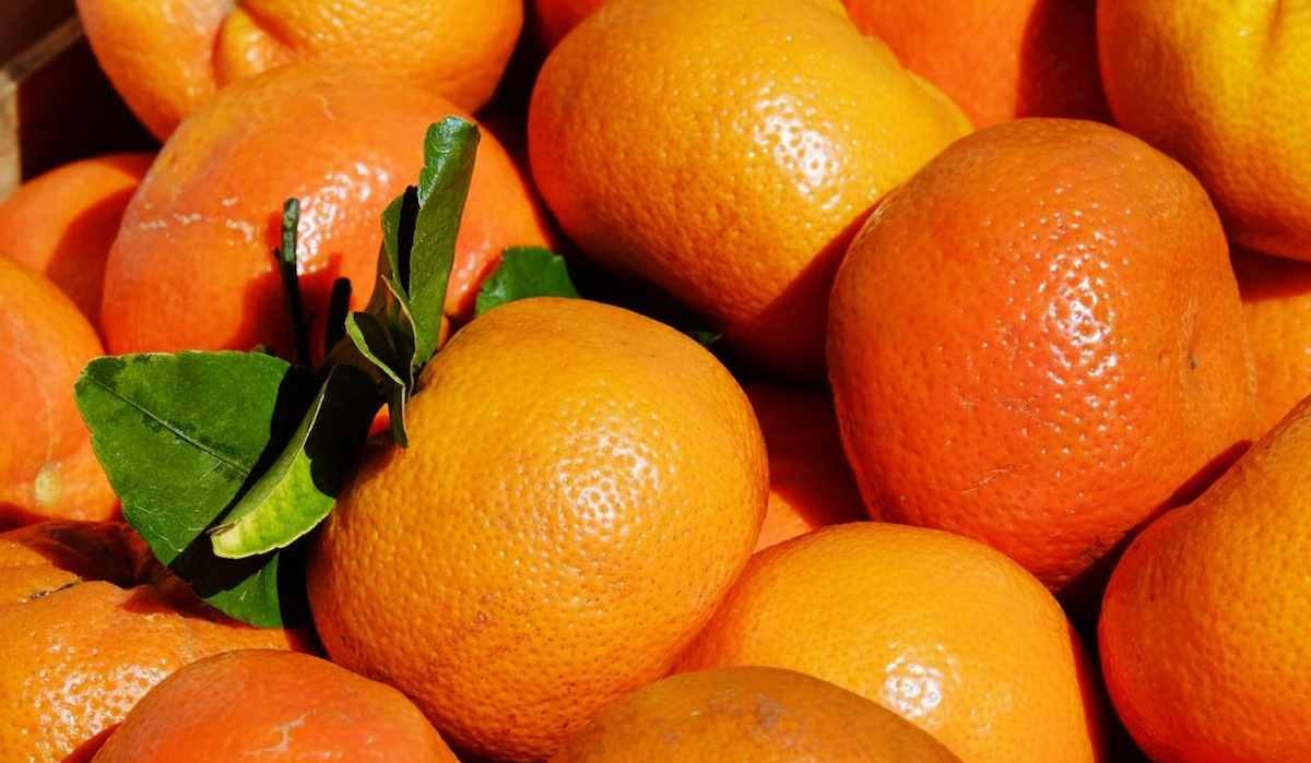 Buy Mandarin Oranges | Selling with Reasonable Prices