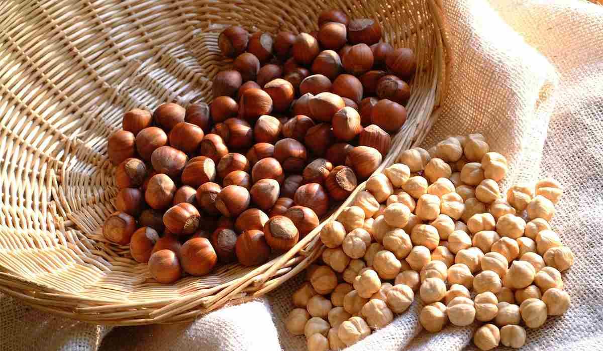 Hazelnut Kernels Shell Fruit Nuts + reasonable price