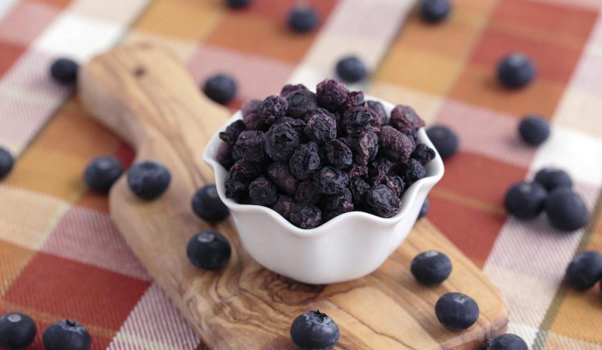 Purchase price dried blueberries + advantages and disadvantages