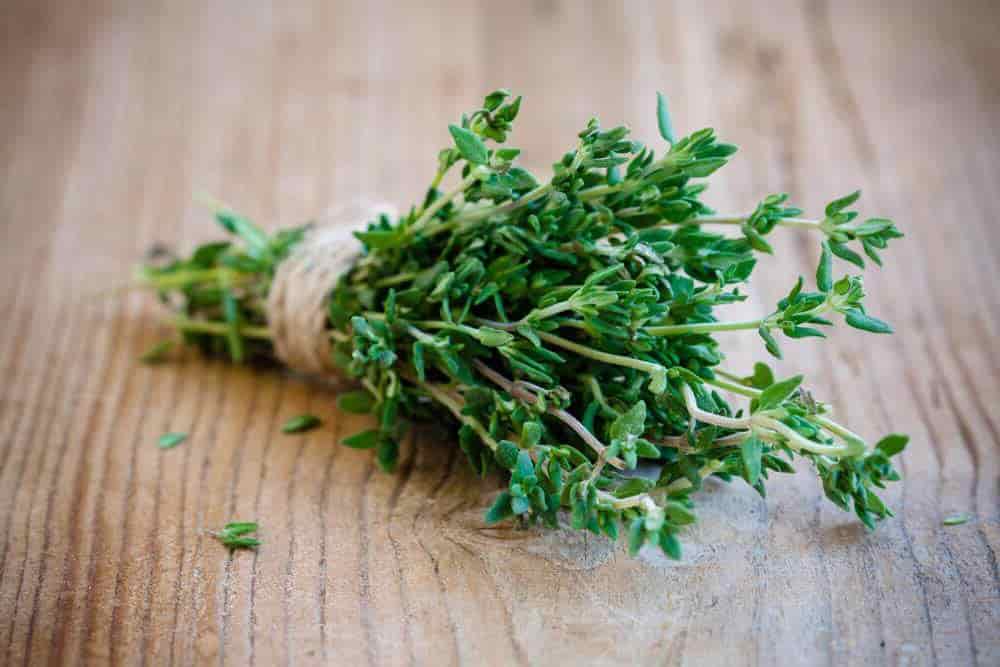 The benefits of thyme plant in food and its preservation