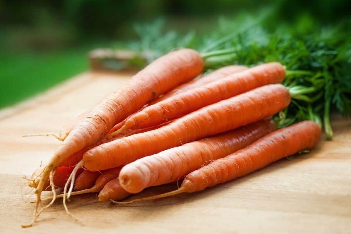 organic carrots wholesale sell