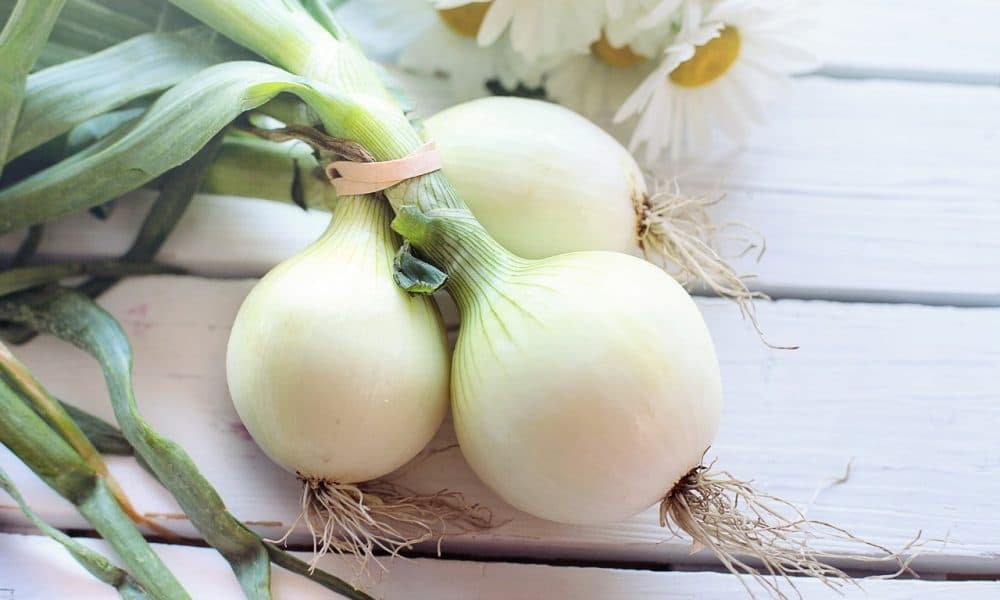 Which Is the Best Dehydrated Onion? + Complete Comparison | Great Price