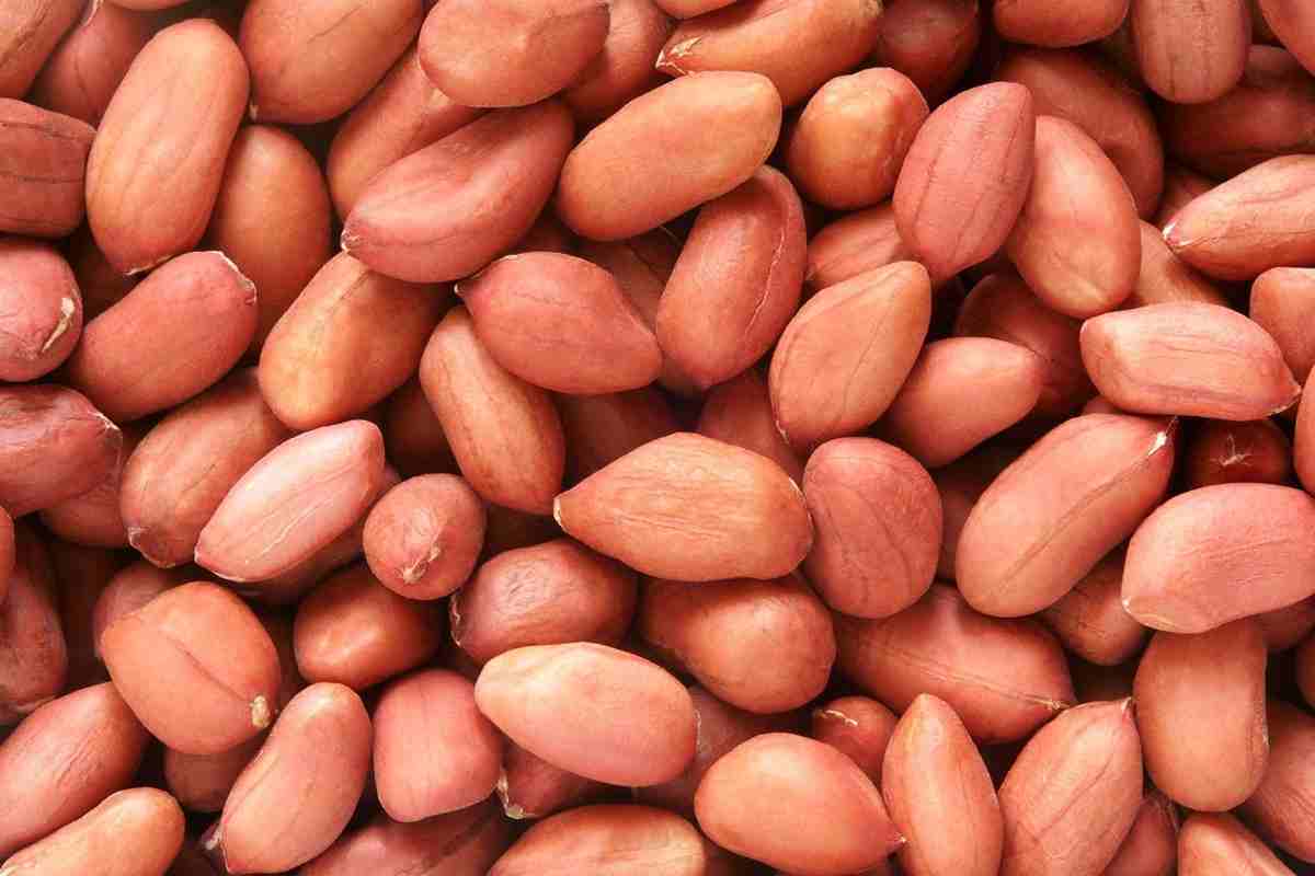 Buy red skin peanuts 5kg bulk pack at lower price