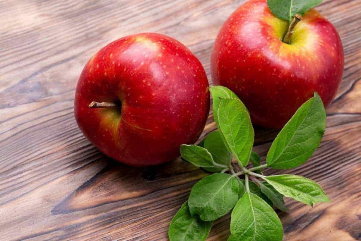 Apple fruit cultivation calories beyond gold standard