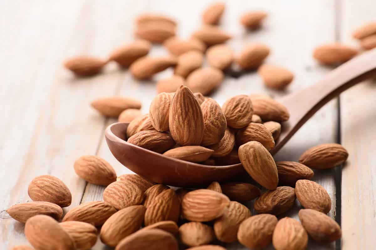 Best almond-producing country with the latest technology