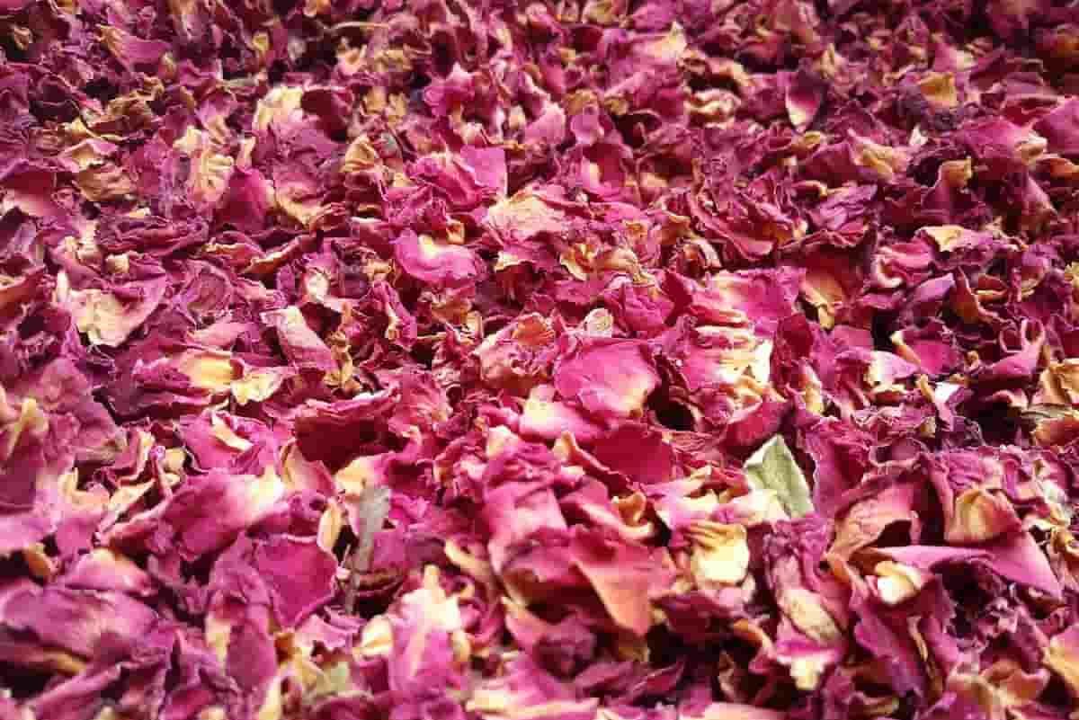 Buy all kinds of rose petals dried +price