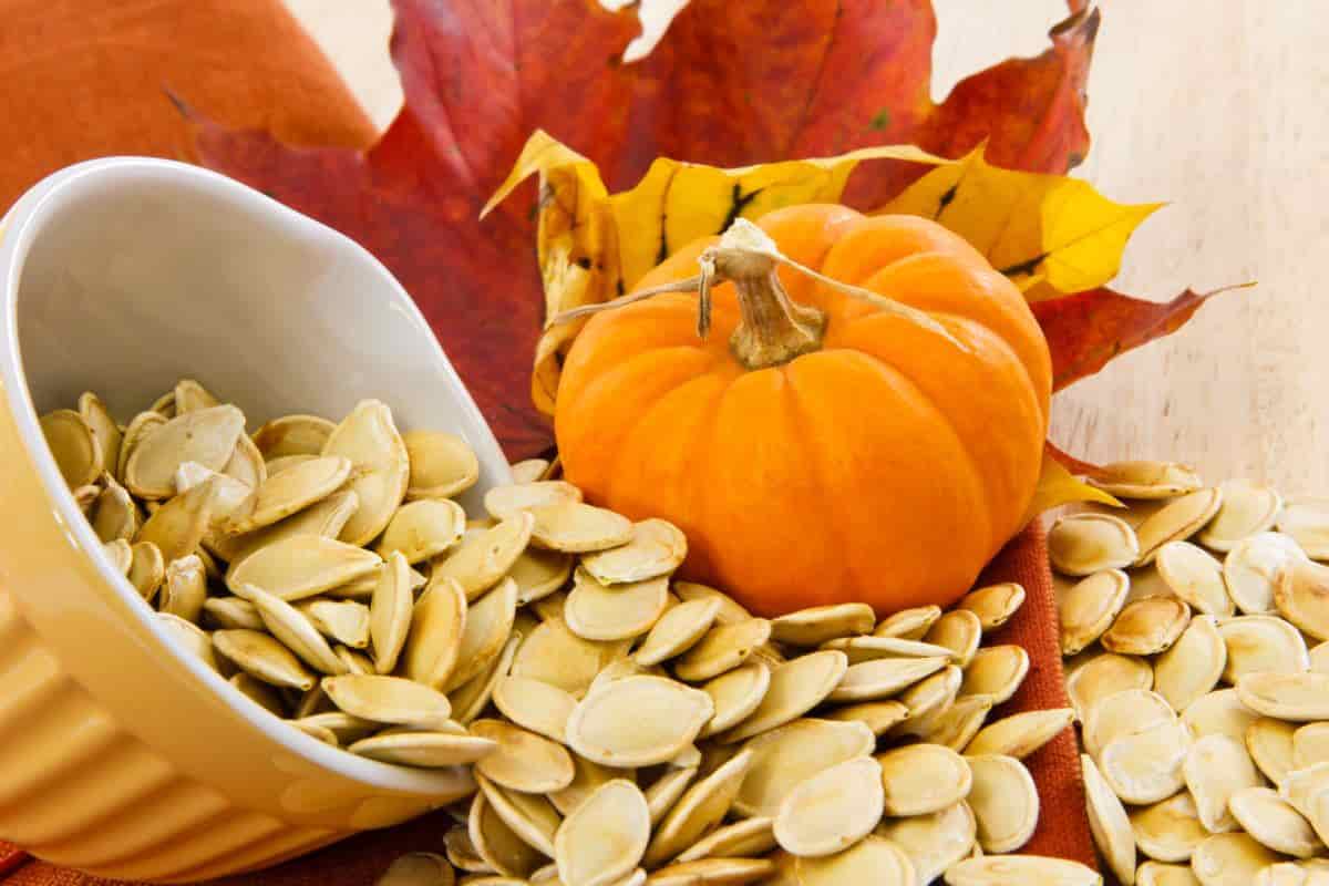 Pumpkin seeds benefits for hair loss and having a full head