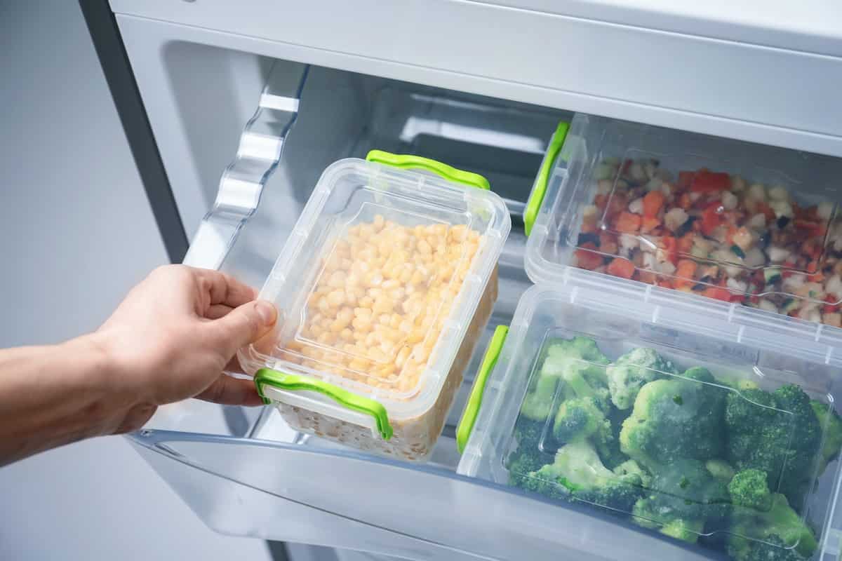 Food Plastic Container Purchase Price + User Guide