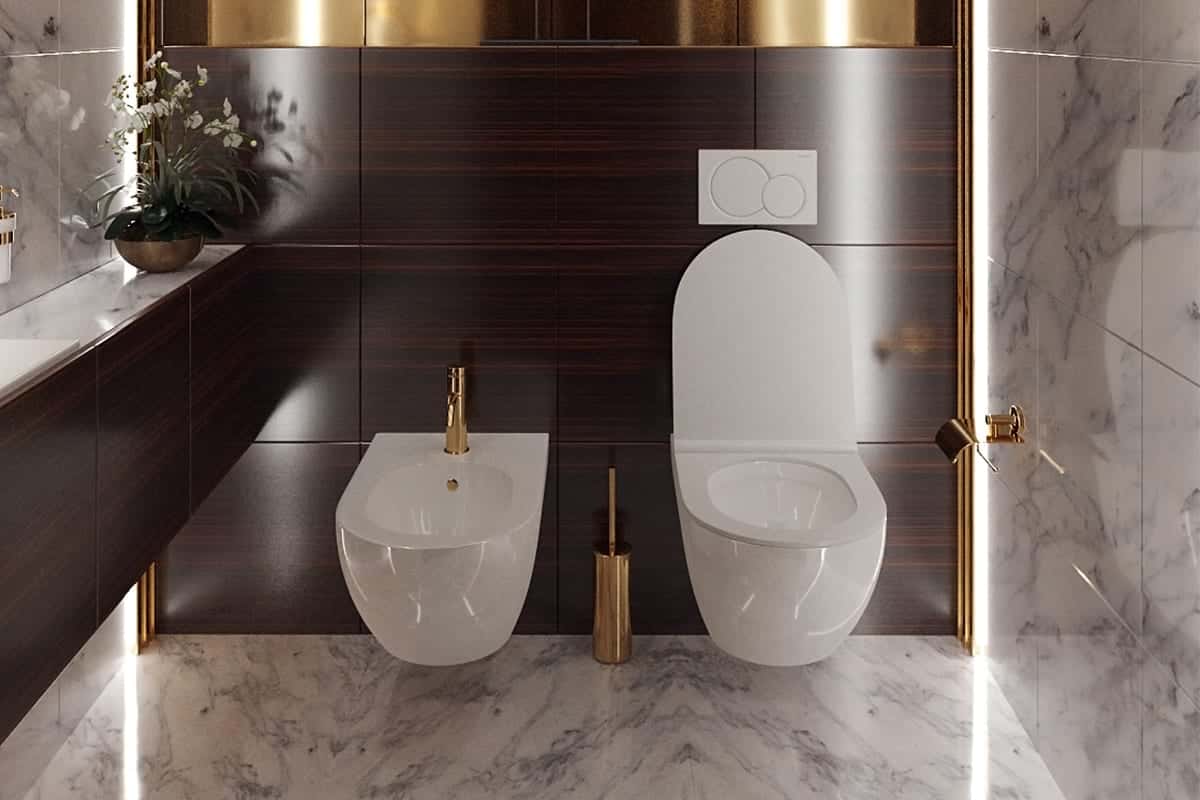 Which Is The Best Bidet Toilet? + Complete Comparison | Great Price