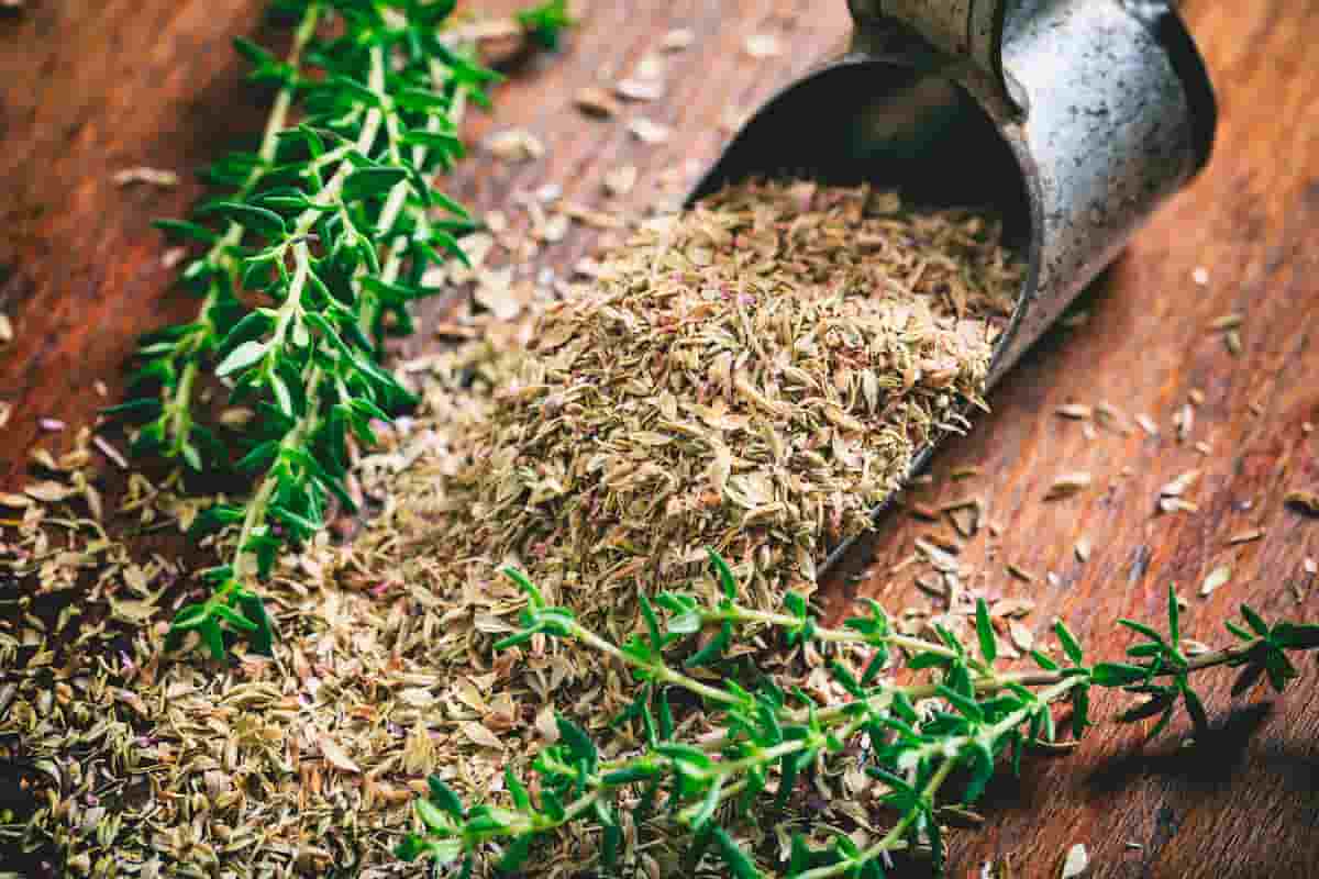 The Purchase Price of Dried Thyme Leaves + Training