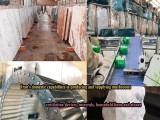 Video of Iran's domestic capabilities in producing and supplying mushrooms, ventilation devices, minerals, household linen and stones and sending to Arad Branding's foreign representatives
