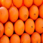Navel Orange price