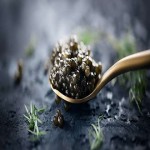 Bulk Purchase of Sturgeon Caviar with the Best Conditions