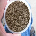 Price and Purchase Aquatic Feed with Complete Specifications